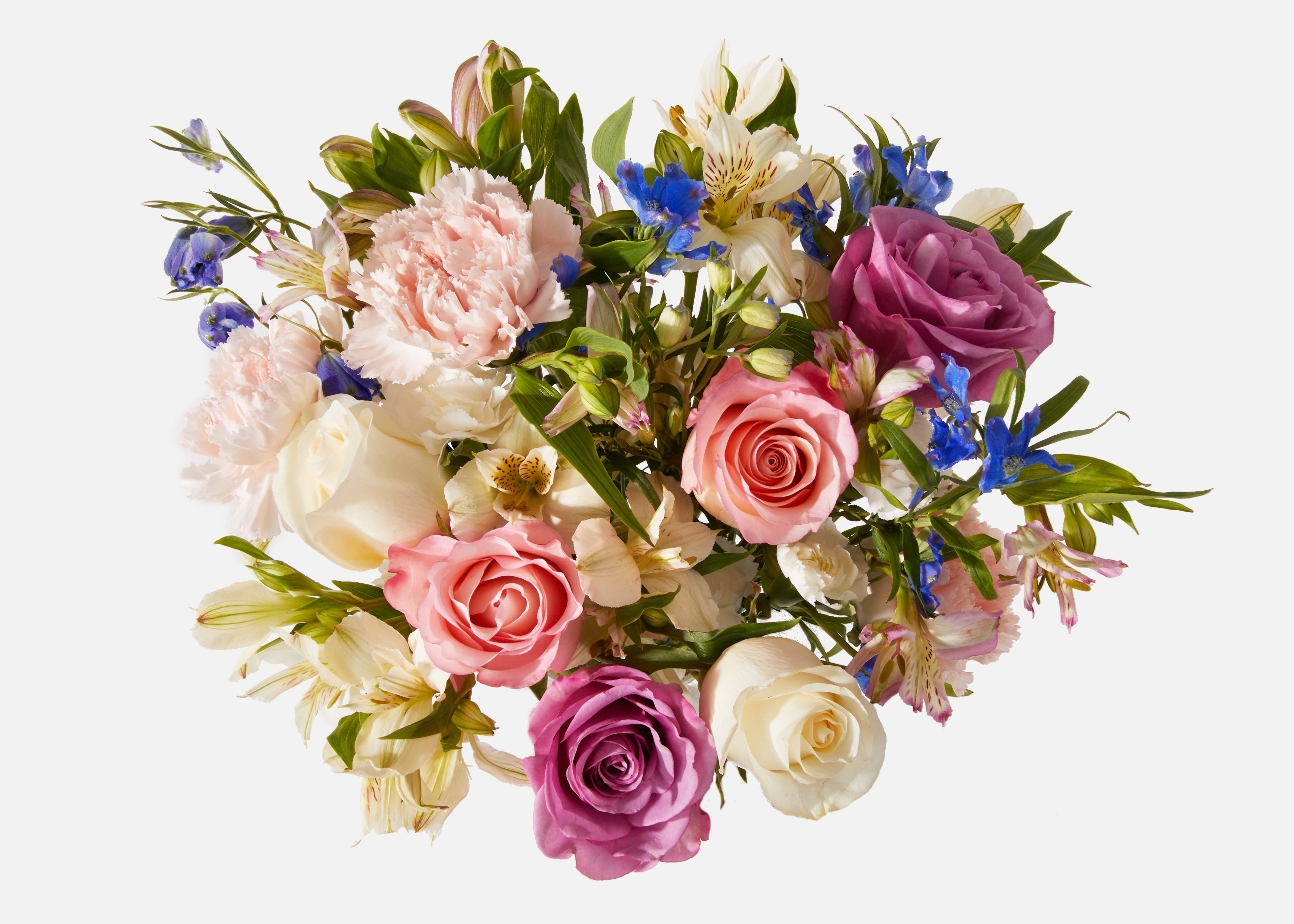 The Unicorn - Image 2