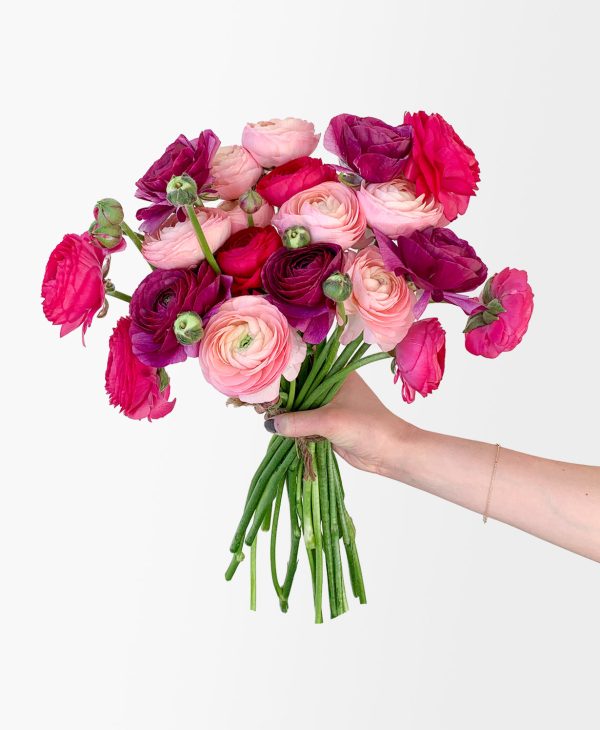 Bumbleberry Ranunculus (20 stems)