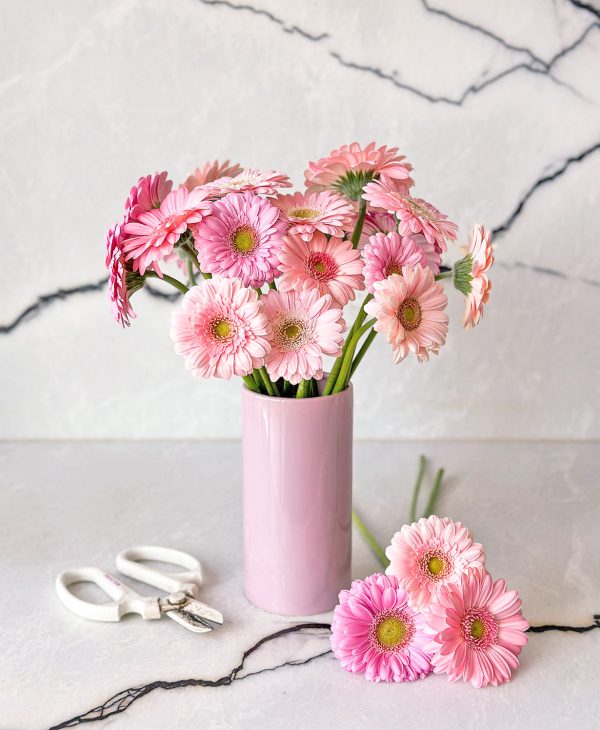 Ahead of the Gerb (21 stems, arrives in vase) - Image 5