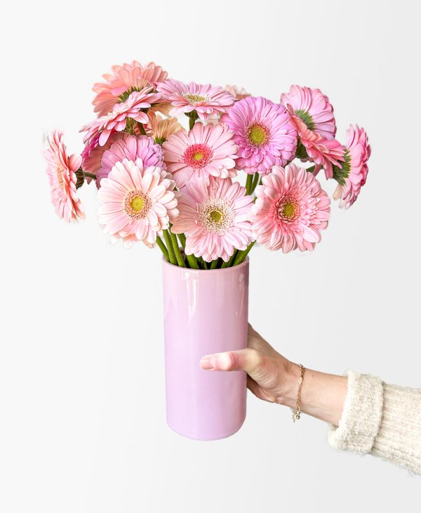 Ahead of the Gerb (21 stems, arrives in vase) - Image 4