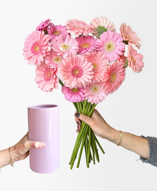 Ahead of the Gerb (21 stems, arrives in vase)