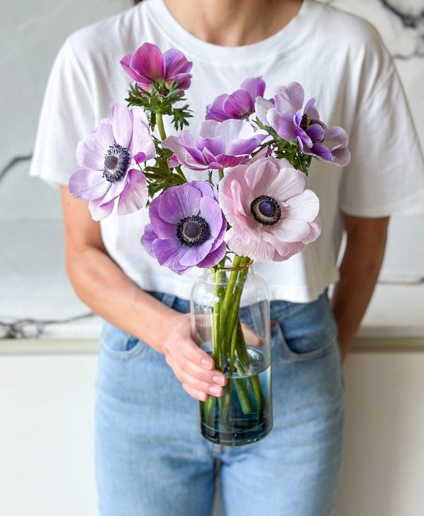 Abracadabra (8 stems, in vase) - Image 4