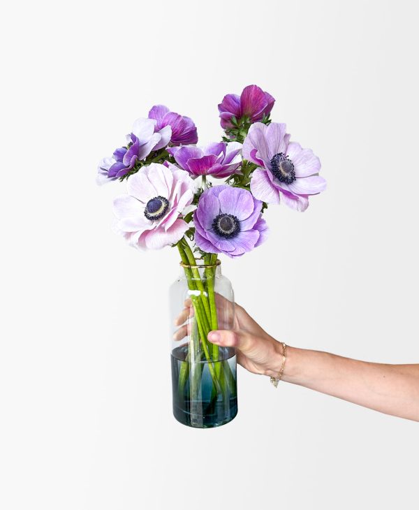Abracadabra (8 stems, in vase) - Image 5